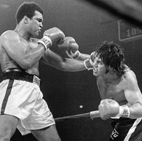 alfredo evangelista boxeo.jpeg